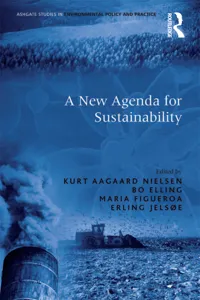 A New Agenda for Sustainability_cover