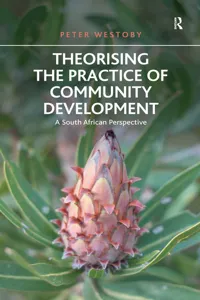 Theorising the Practice of Community Development_cover