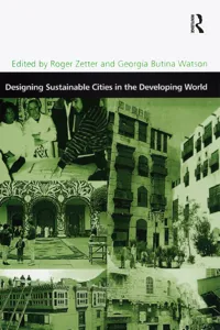 Designing Sustainable Cities in the Developing World_cover