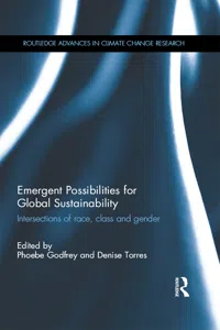 Emergent Possibilities for Global Sustainability_cover