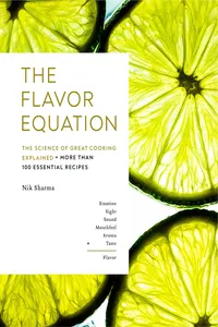 The Flavor Equation_cover