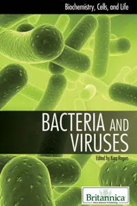 Bacteria and Viruses_cover