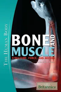 Bone and Muscle_cover
