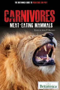 Carnivores_cover