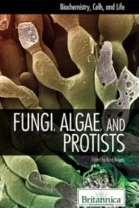 Fungi, Algae, and Protists_cover