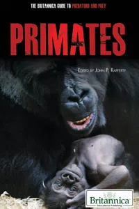 Primates_cover