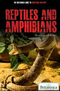 Reptiles and Amphibians_cover