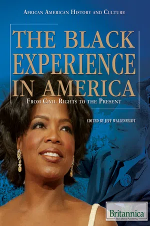 The Black Experience in America