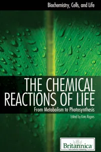 The Chemical Reactions of Life_cover