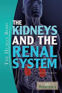 The Kidneys and the Renal System_cover