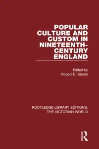 Popular Culture and Custom in Nineteenth-Century England_cover