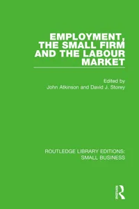 Employment, the Small Firm and the Labour Market_cover