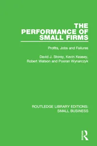 The Performance of Small Firms_cover