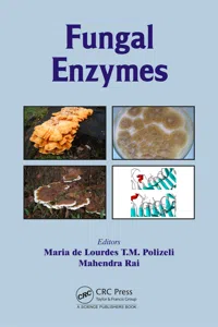 Fungal Enzymes_cover