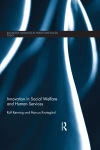 Innovation in Social Welfare and Human Services_cover