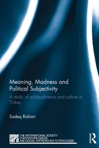 Meaning, Madness and Political Subjectivity_cover