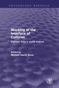 Working at the Interface of Cultures_cover