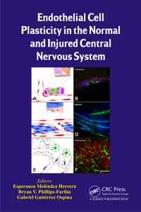 Endothelial Cell Plasticity in the Normal and Injured Central Nervous System_cover