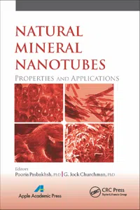 Natural Mineral Nanotubes_cover