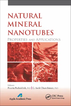 Natural Mineral Nanotubes