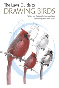 The Laws Guide to Drawing Birds_cover
