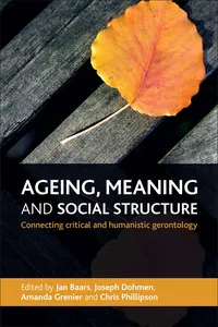 Ageing, Meaning and Social Structure_cover