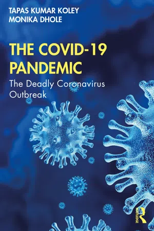 The COVID-19 Pandemic