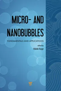 Micro- and Nanobubbles_cover