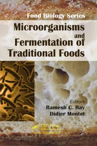 Microorganisms and Fermentation of Traditional Foods_cover