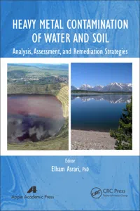 Heavy Metal Contamination of Water and Soil_cover