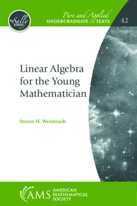 Linear Algebra for the Young Mathematician_cover