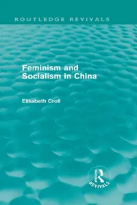 Feminism and Socialism in China_cover