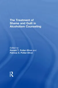 The Treatment of Shame and Guilt in Alcoholism Counseling_cover