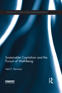 Sustainable Capitalism and the Pursuit of Well-Being_cover