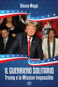 Il guerriero solitario_cover