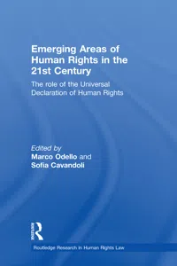 Emerging Areas of Human Rights in the 21st Century_cover