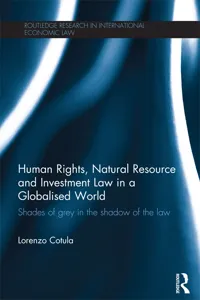 Human Rights, Natural Resource and Investment Law in a Globalised World_cover
