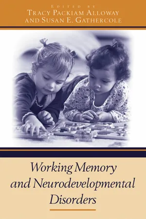 Working Memory and Neurodevelopmental Disorders