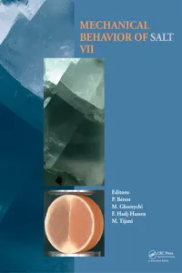 Mechanical Behaviour of Salt VII_cover