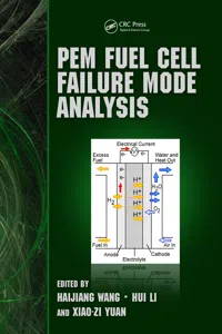 PEM Fuel Cell Failure Mode Analysis_cover