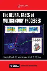 The Neural Bases of Multisensory Processes_cover