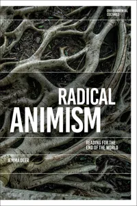 Radical Animism_cover