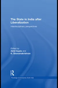 The State in India after Liberalization_cover