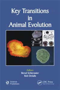 Key Transitions in Animal Evolution_cover