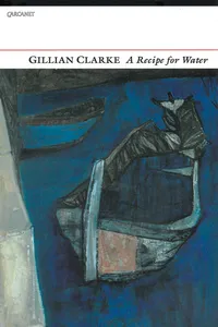 A Recipe for Water_cover