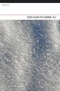 Ice_cover