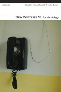 New Poetries VI_cover