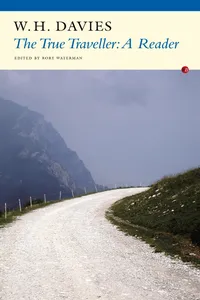The True Traveller_cover