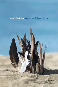 Measures of Expatriation_cover