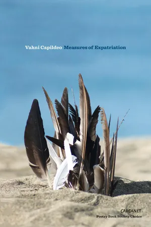 Measures of Expatriation